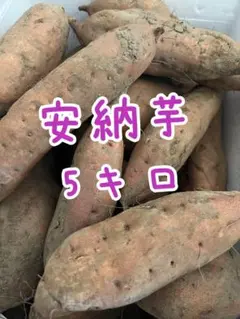 さつまいも 安納芋　訳あり 5kg