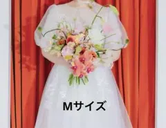 【前撮りフォト】ウェディングドレス Aライン 9号M 刺繍 スパンコール 袖付き