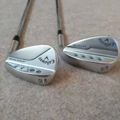 Item thumbnail for item f0991144-7f5b-45a5-a1f7-8e4cf64483fb