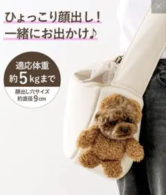 顔出しベアバック　スリーコインズ