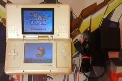 動作確認済み　ソフト付きですぐ遊べる　入手困難 希少　ニンテンドーDS　任天堂