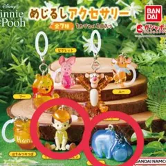 Winnie the Pooh めじるしアクセサリー