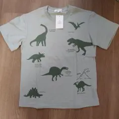 3can4on　半袖Tシャツ　140cm　新品のサムネイル
