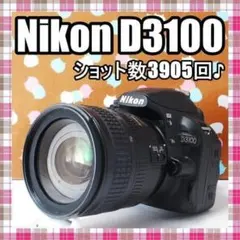 ✨ショット数3905回✨お買い得✨Nikon D3100 レンズセット - メルカリ