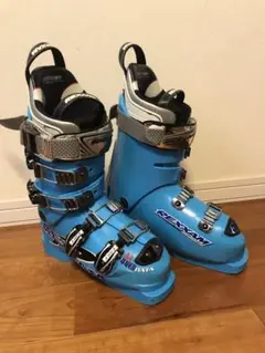 レグザム DATA110M