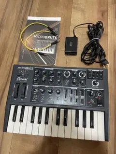 2026年最新】arturia microbruteの人気アイテム - メルカリ