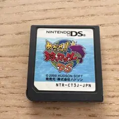 めざせ 釣りマスター DS ソフトのみ【端子清掃及び動作確認済】