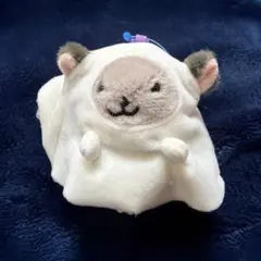【カルディ】なりきりチンチラマスコット　ゴースト
