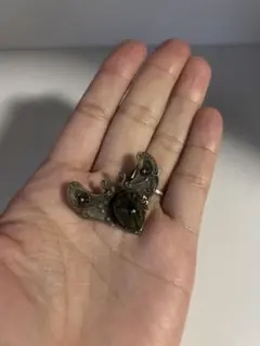 2025年最新】コガネムシ ブローチの人気アイテム - メルカリ