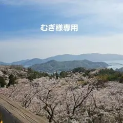 むぎ様専用プラカゴ二点セット