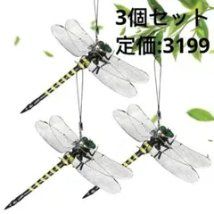 トビの翼標本 トビ（羽広げ型） | ワシ・タカ・ハヤブサ | 剥製の製作・直売