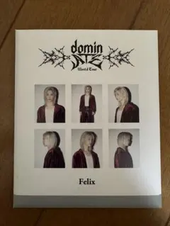 Stray Kids Felix フォトカード dominATE