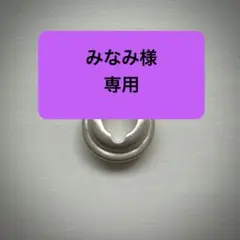 2026年最新】伊勢谷友介 ピアスの人気アイテム - メルカリ