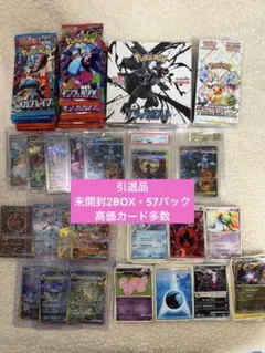 ポケモンカード引退品　ブラッキーex メガリザードンX ex テラスタルフェス