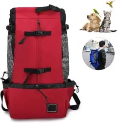 Item thumbnail for item efe7b455-7196-41ce-848d-fb37bf784ae8