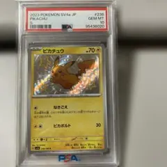 2026年最新】色違いピカチュウSの人気アイテム - メルカリ