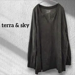 ✨１点限り✨ terra & sky Vネック長袖トップス カットソー【2X】