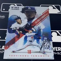 yusho様 リクエスト 2点 まとめ商品