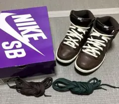 dunk sb