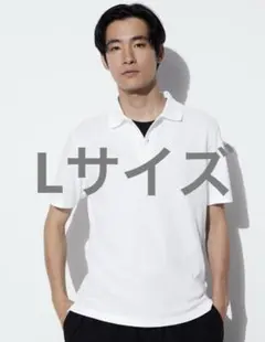 Item thumbnail for item 1a83468d-0fcb-4164-9cec-e3e137064d54