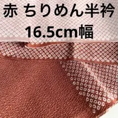 半衿