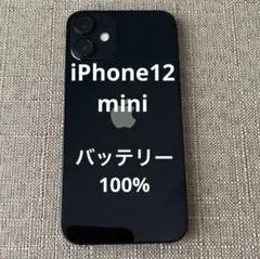 Apple スマートフォン本体