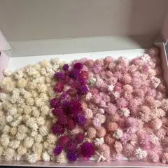 Item thumbnail for item d9891969-ab7b-4535-bc01-d606580997e8