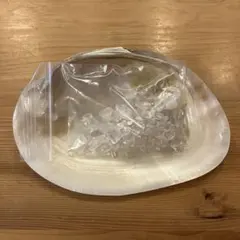 シェルとさざれ石のセット（未使用品）