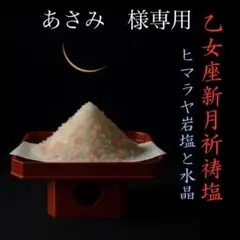 あさみ　様専用