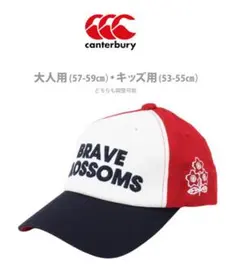 Item thumbnail for item f72a0226-8c3c-45b3-b478-56418614c499