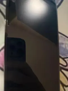 Apple iPhone 13 Pro グラファイト 本体