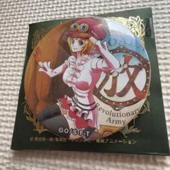 ワンピース 輩缶バッジ コアラ