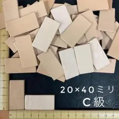 Item thumbnail for item f84b244f-5101-467b-a72c-ad693b1cf34f