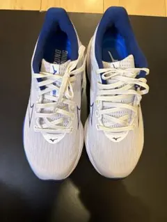 ミズノ　ウェーブライダー28 25.0cm