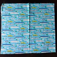 Item thumbnail for item a87033bd-758d-42ae-b8df-95bf4883ec0d