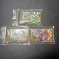 ポケモンフレンダ レガシーピック最安値 ミライドン コライドン オーガポンセット