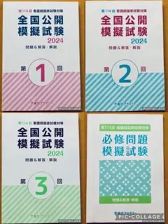 看護師国家試験 2025 2冊セット 115回看護師国家試験 看護師国家試験PASS NOTE 2025年版 / 杉本 由香【編著