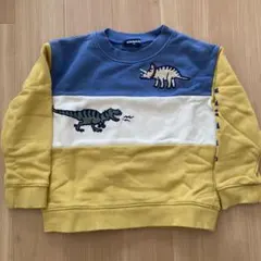 klädkåp 恐竜刺繍 トレーナー 110