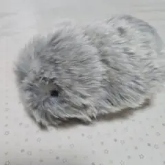 モフリン138日間ペットでした - メルカリ