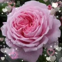 バーバラ様 リクエスト 2点 まとめ商品