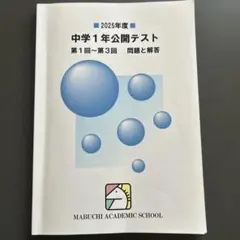 2026年最新】馬渕教室 公開テスト中1の人気アイテム - メルカリ