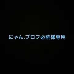 にゃん.プロフ必読様専用