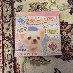 ミニミニ　てがみDEおりがみ　クラックス　いぬ　いちご　メモ帳　平成のサムネイル