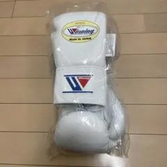 Item thumbnail for item b50343d2-909a-43e1-969d-6d6e2498822b