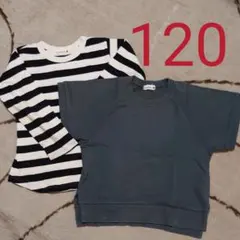 branshesアンサンブル120