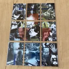 hide＊怪人カード ９枚セット hide 怪人カード ピンクスパイダー：9〜16 の展示中 || Museum