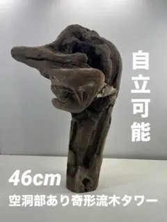 Item thumbnail for item 92d985b1-9b9b-45bc-9897-0499ba8f6e27