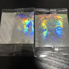 STORM05様専用 ワンピース ウエハースシール UGR 2枚セット