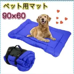 Item thumbnail for item acdb1f0e-67e0-4334-a5de-5ab6006dc557