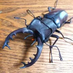 Item thumbnail for item de543c03-f9a3-444c-b4e5-18fabcc67244